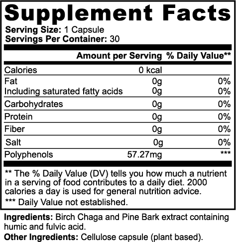 PowerGut by TripleFocus